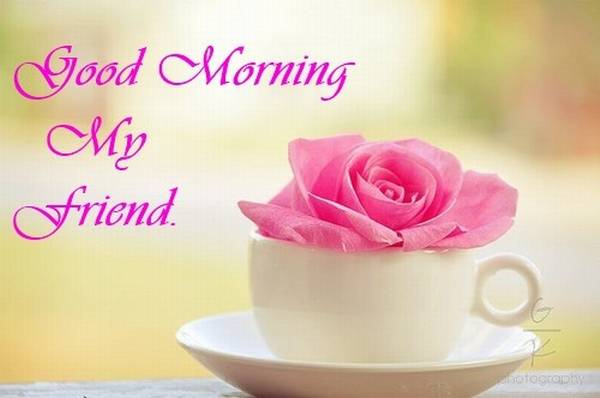 20+ Beautiful Good Morning Have a Nice Day Wallpapers