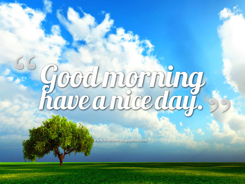 20+ Beautiful Good Morning Have a Nice Day Wallpapers