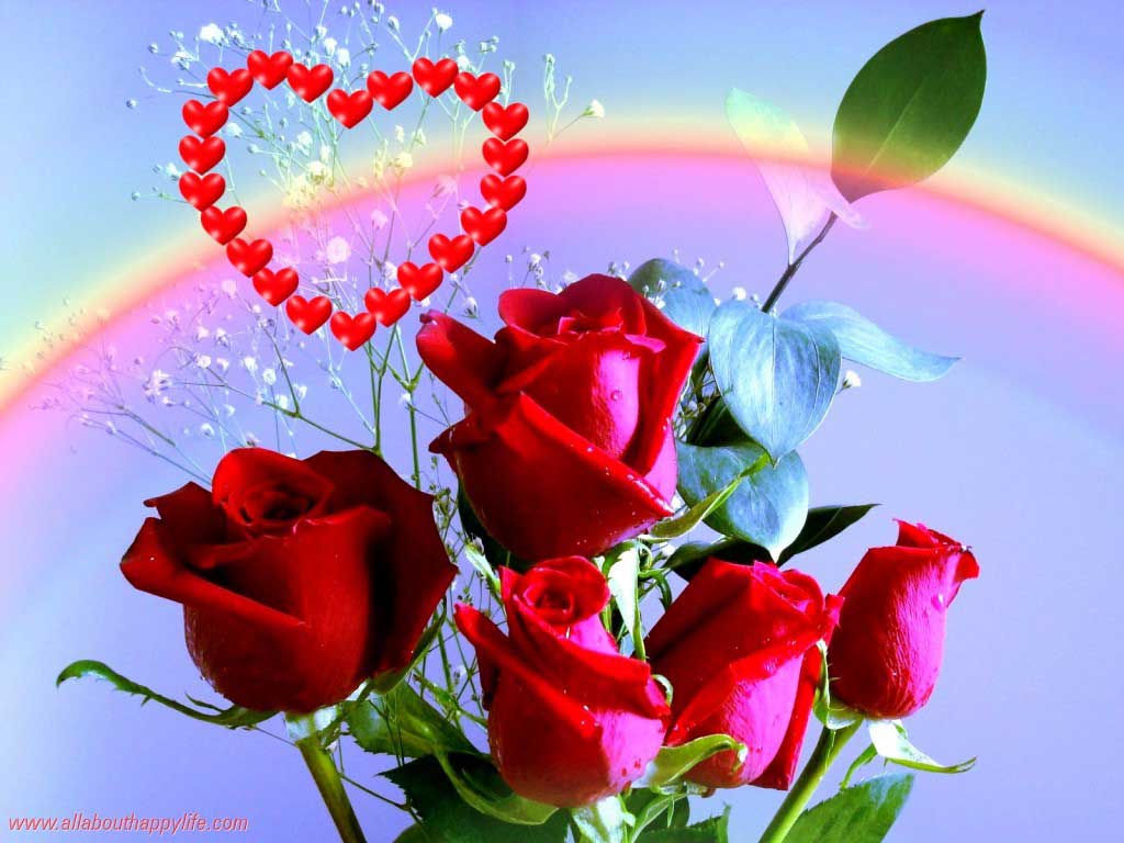 Red Rose I Love You Wallpaper