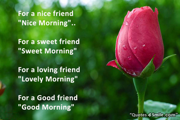 Hope you have enjoyed our funny good morning quotes for friends . do ...