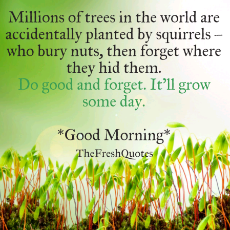 Beautiful Good Morning Nature Images with Quotes