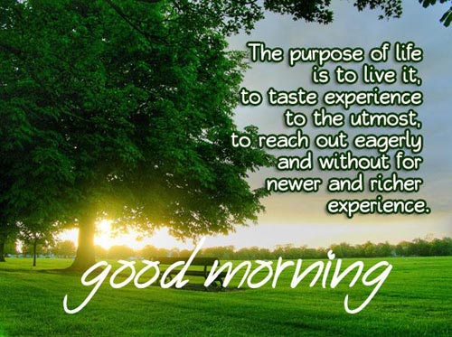 Beautiful Good Morning Nature Images with Quotes