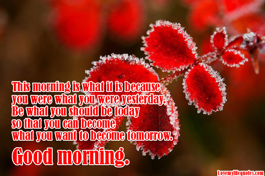 beautiful inspirational good morning messages every morning you have ...