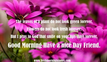 15+ Good Morning Friend Have a nice Day Images