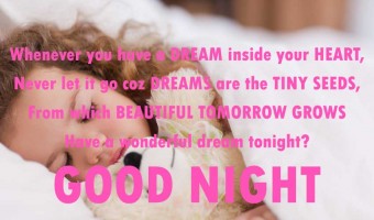 60 Good Night Messages for Girlfriend