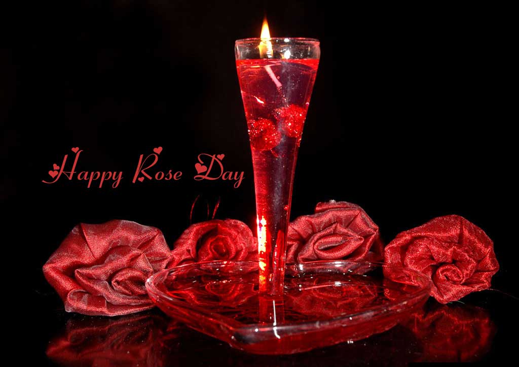 Happy Rose Day 2018 HD wallpapers - Freshmorningquotes