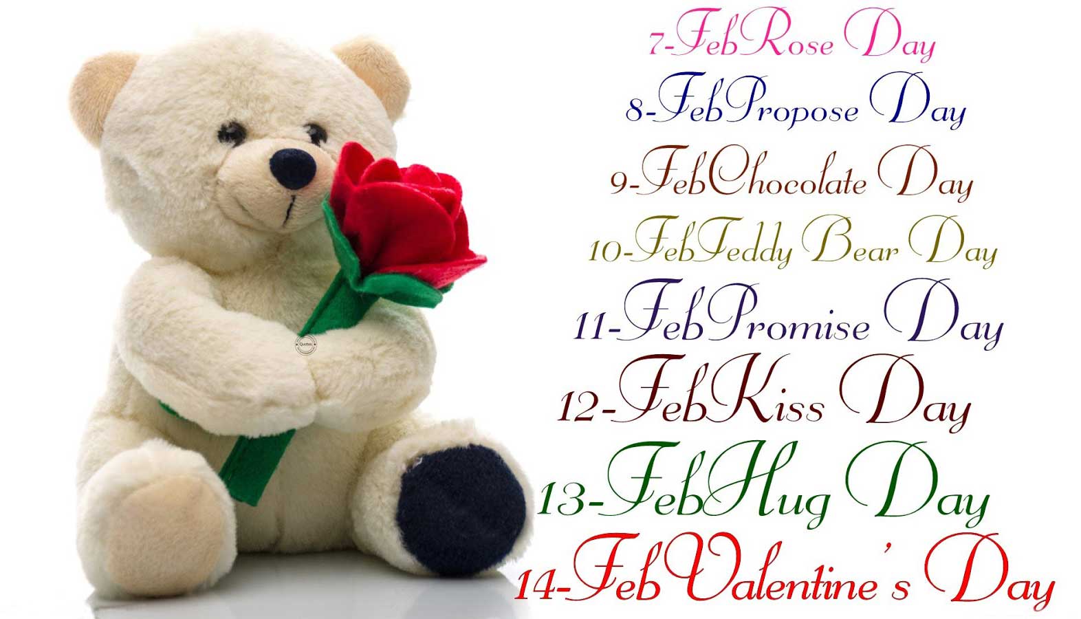 teddy bear for gf