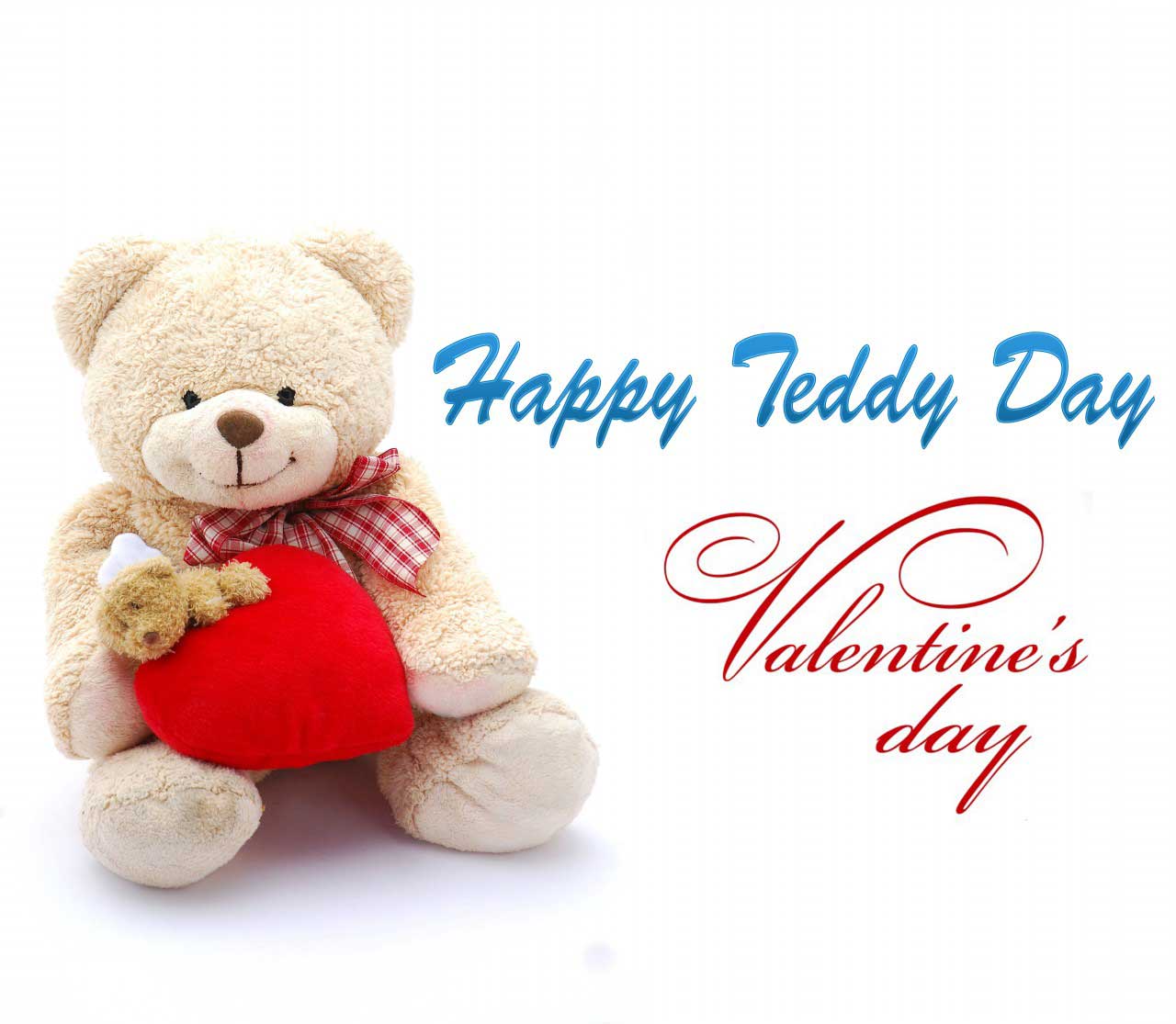 teddy day 2018