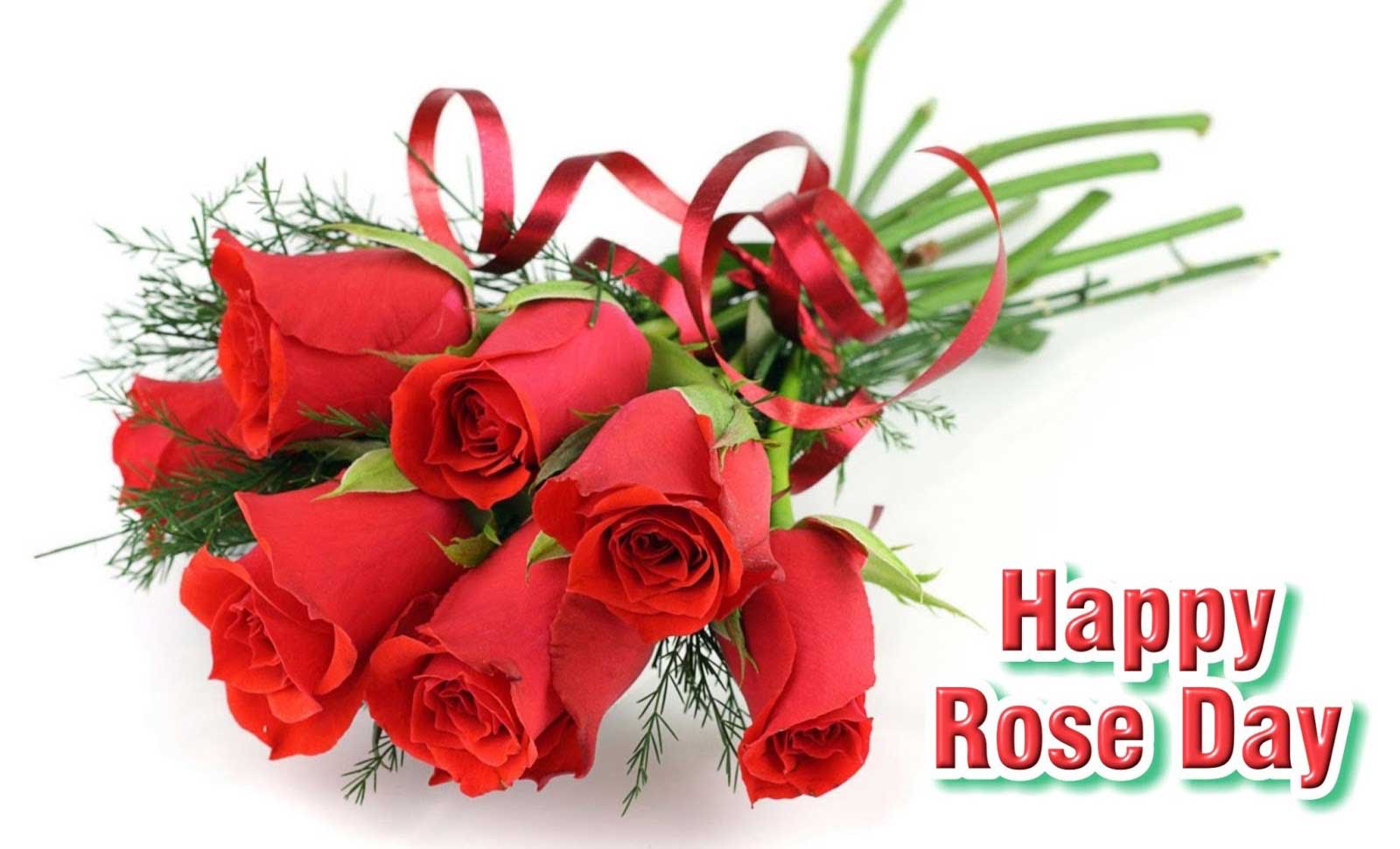 Happy Rose Day 2018 HD wallpapers - Freshmorningquotes