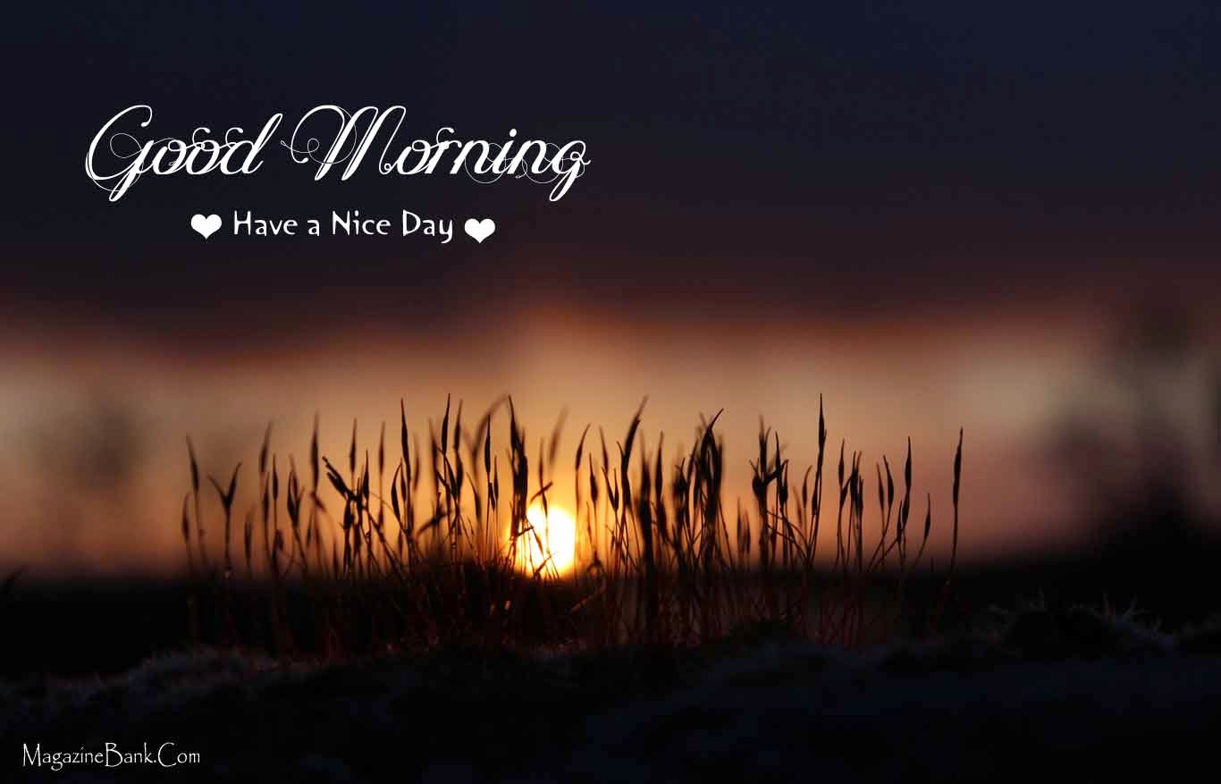 Beautiful Good Morning Quotes (16)