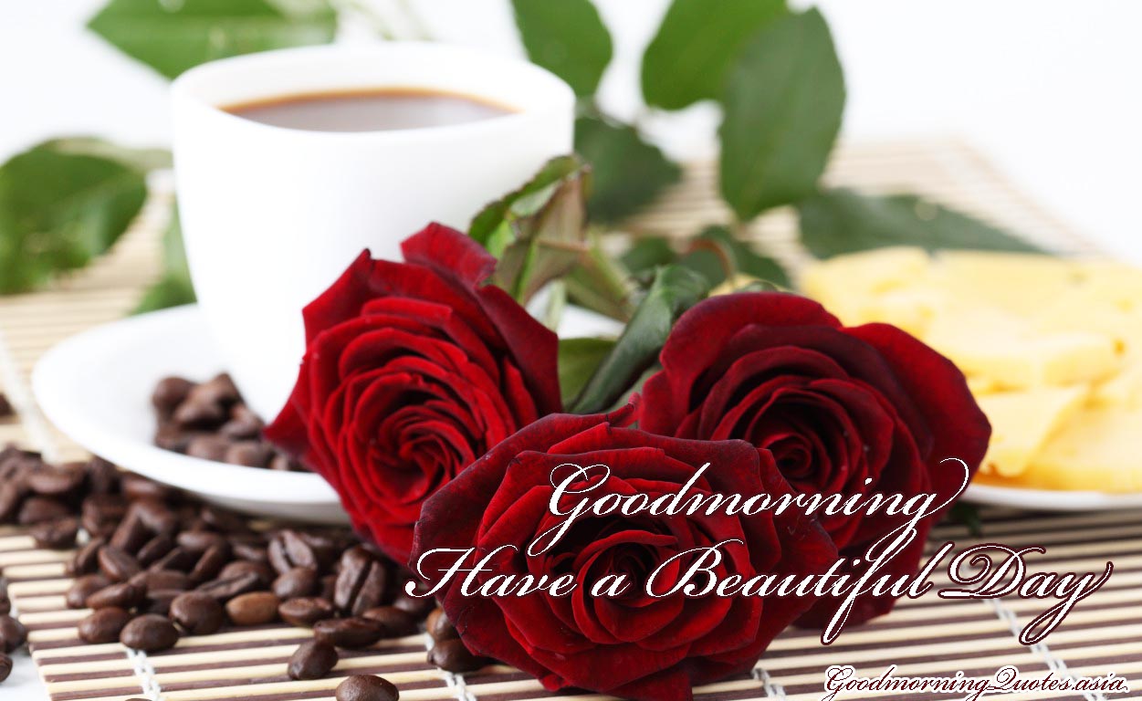 30 Beautiful Good Morning Love Images with Flowers1251 x 768