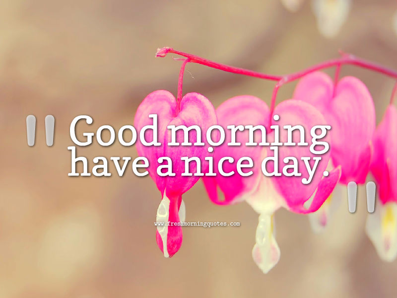 good morning have a nice day (1)