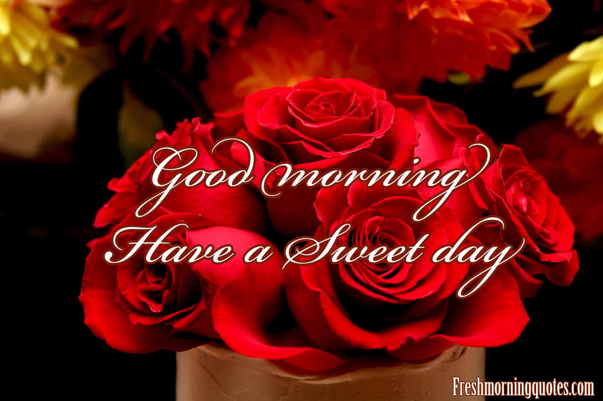 60+ Beautiful Good morning Have a nice day images