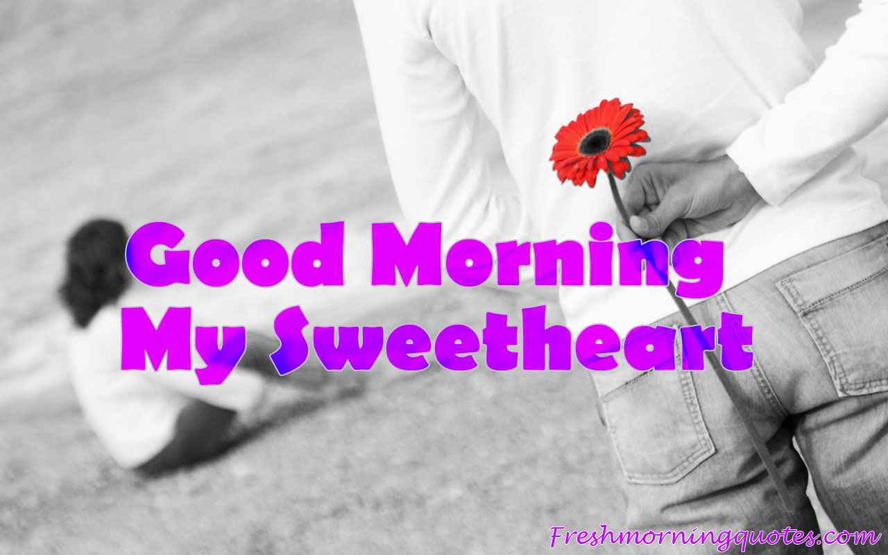 30 Beautiful Good Morning Love Images with Flowers