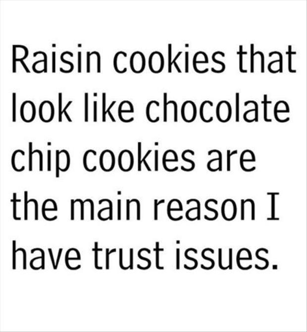 raisin cookies that look like chocolate chip cookies are the main reason i have trust issues