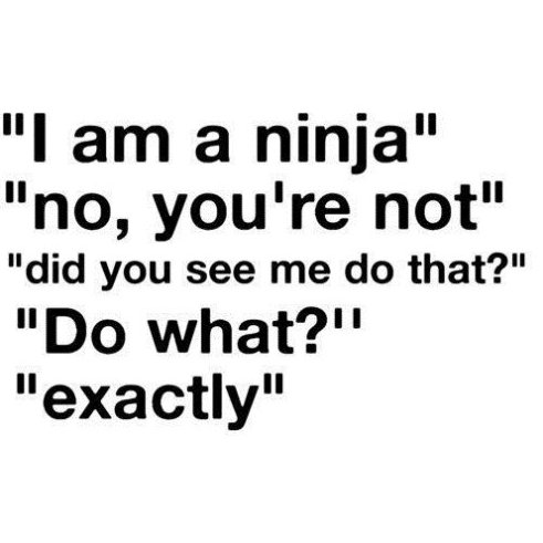 i am a ninja no you are not did you see me do that do what exactly