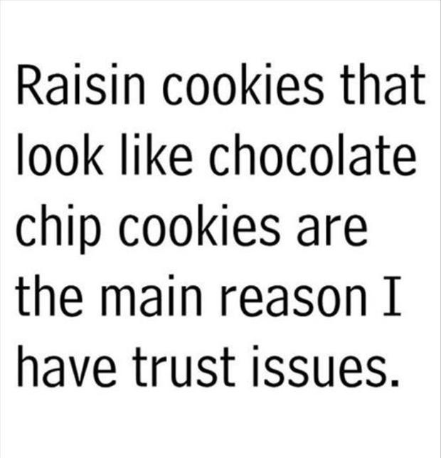 raisin cookies that look like chocolate chip cookies are the main reason i have trust issues