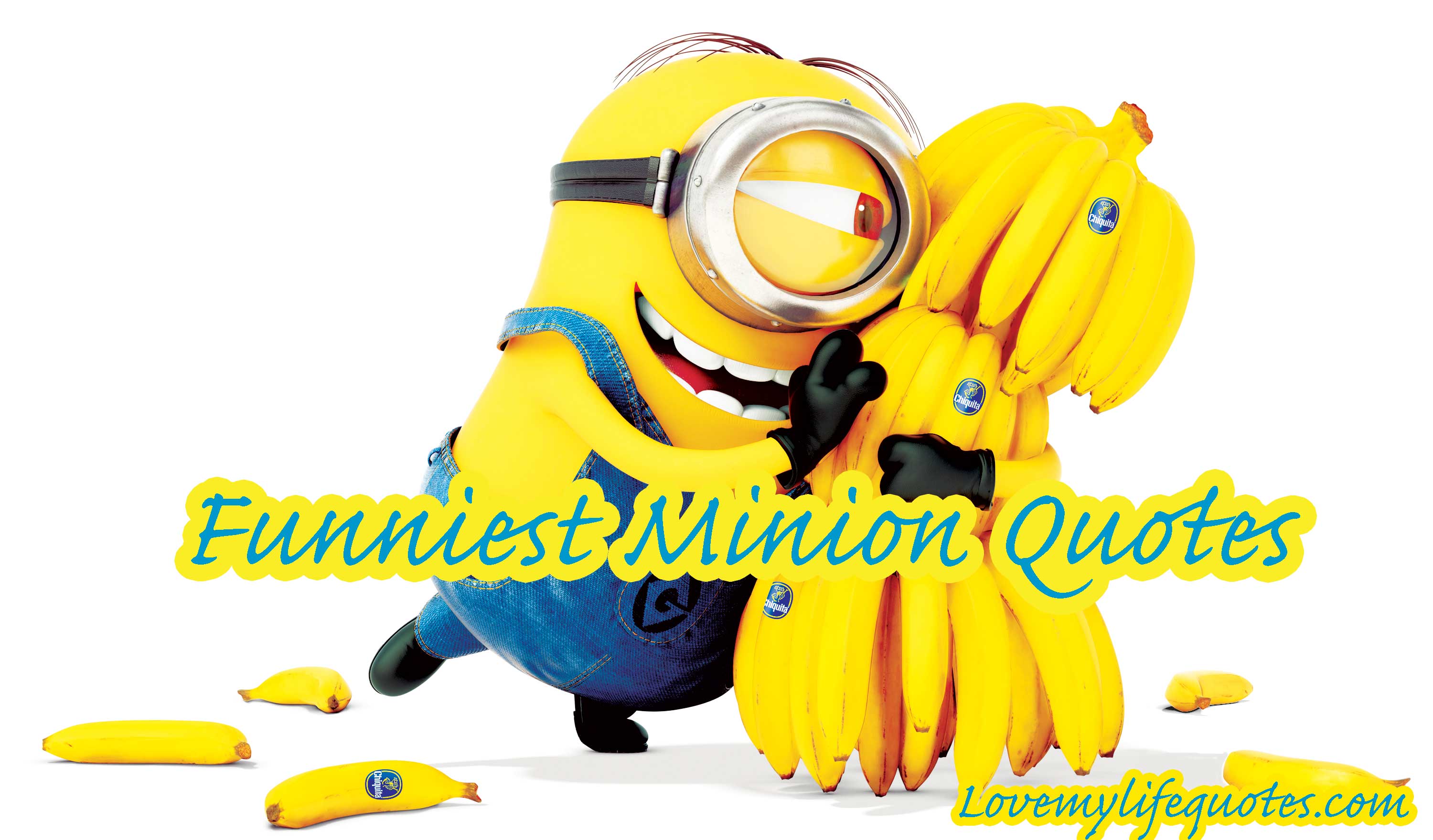 Funniest Minion Quotes and Pictures Of The Week