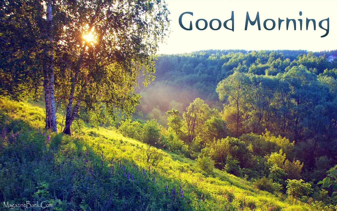 Beautiful Good Morning Quotes (13)