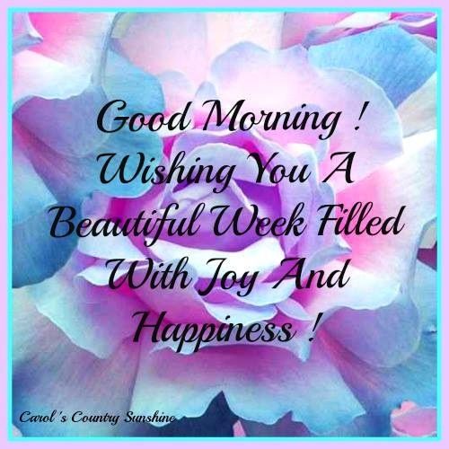 Beautiful Good Morning Quotes (15)