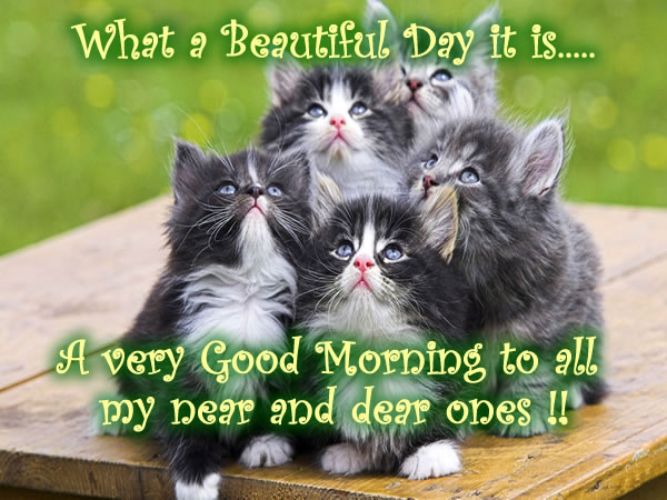Beautiful Good Morning Quotes (5)