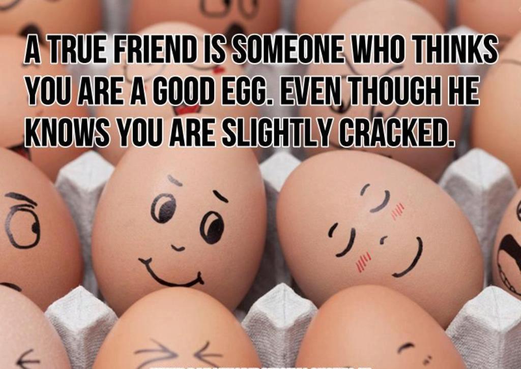 best friend funny quotes (9)