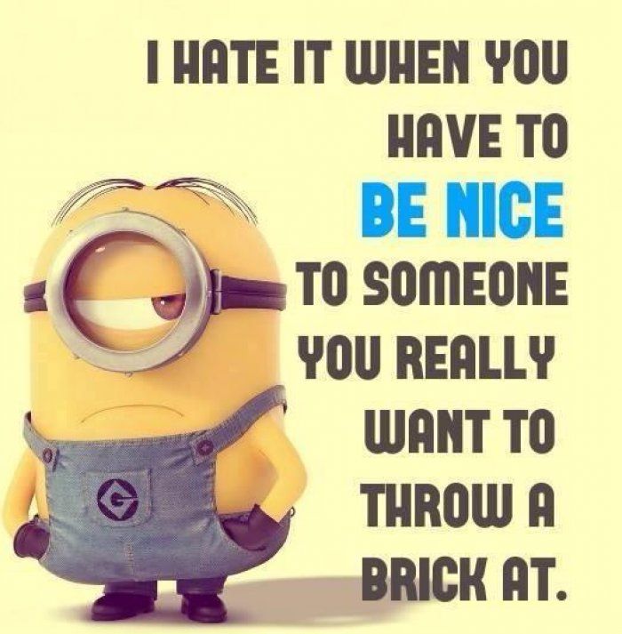 Funny Minions Friendship Quotes (2)