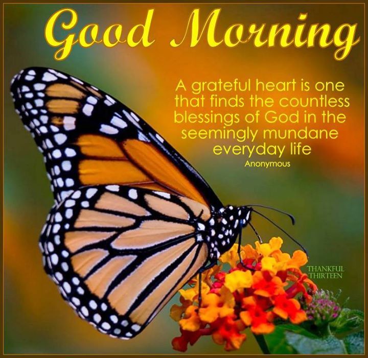 100 Funny Good Morning Quotes For Friends