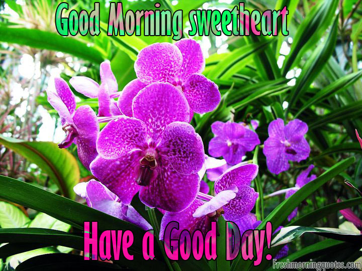 Good Morning sweetheart and have a Good Day