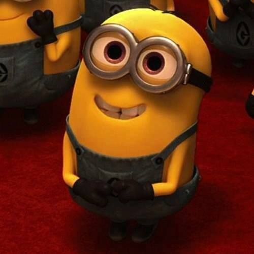 The Cutest Minion  DP for Whatsapp  and Facebook 