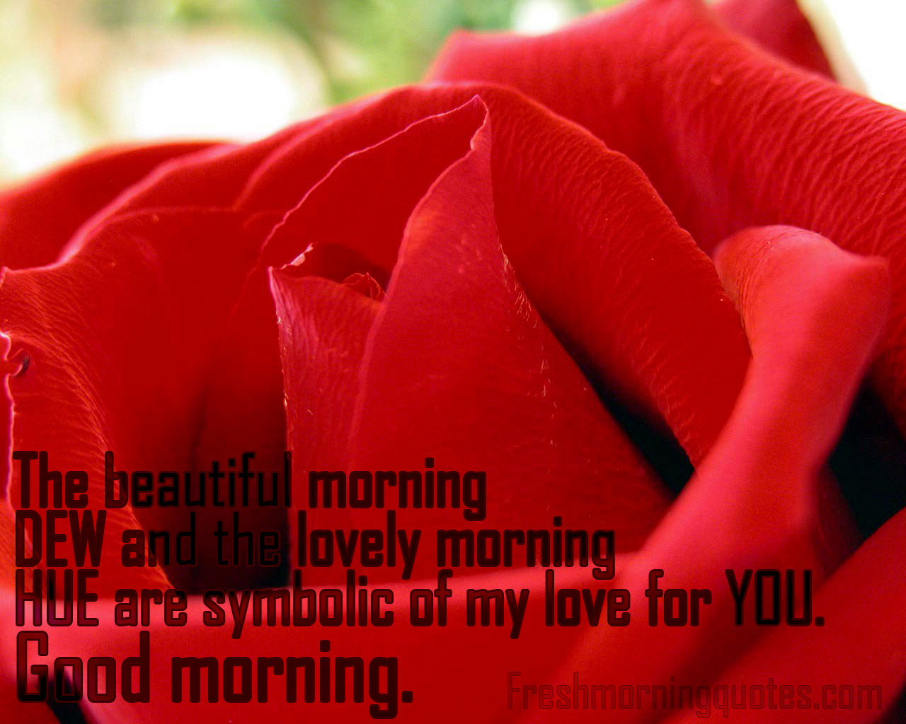 The beautiful morning DEW and the lovely morning-Good morning Quotes for Her