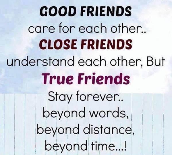 20 Best Friend Funny Quotes for your Cute Friendship