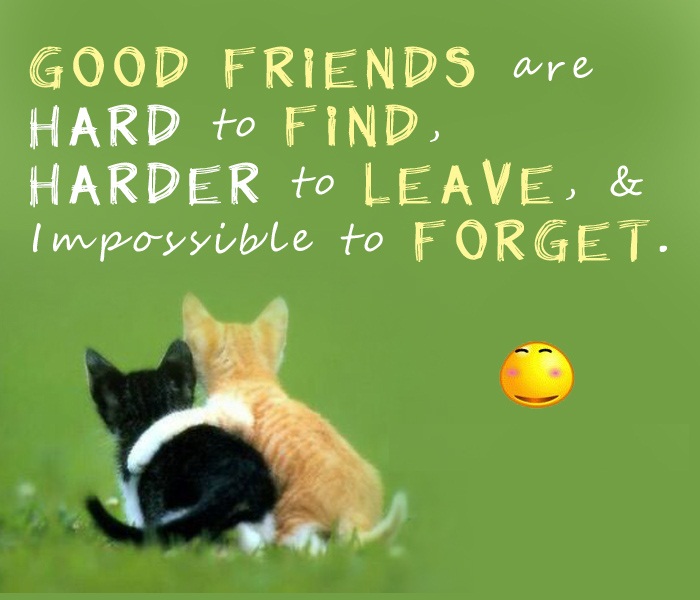 best-friends-are-hard-to-find-quotes