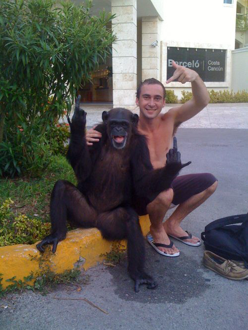 Funniest pictures from internet