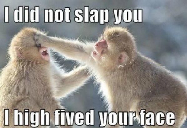 Funny Inspirational Quotes