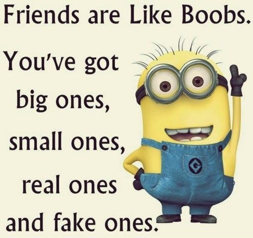 True Friends Minion Quotes Friends 35 Quotes