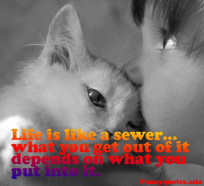 45+ Funny Inspirational Quotes with Beautiful Images 45+ Funny Inspirational Quotes with Beautiful Images