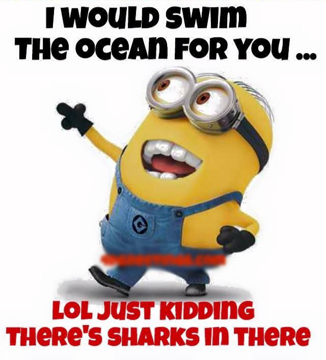 Funniest Minion Quotes and Pictures Of The Week Funniest Minion Quotes and Pictures Of The Week