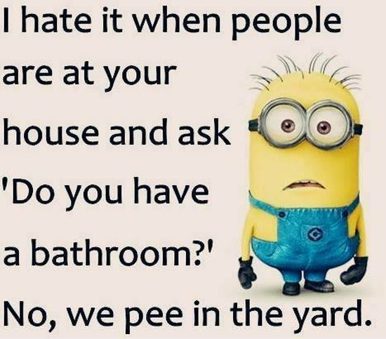 Funniest Minion Quotes and sayings (29)