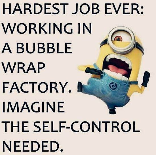 funny minion quotes and sayings (30)