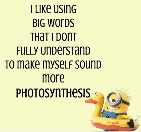 funny minion quotes and sayings (44)