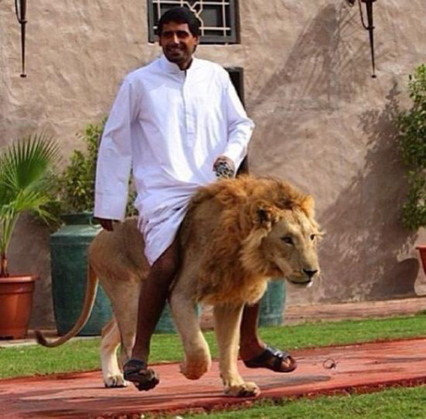 man traveling on lion in dubai