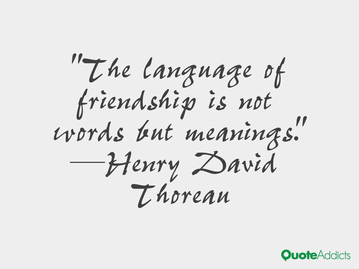 the language of friendship funny friendship quotes