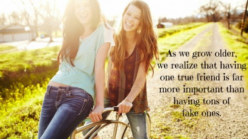 Download 40 Best Friendship Quotes For True Friends