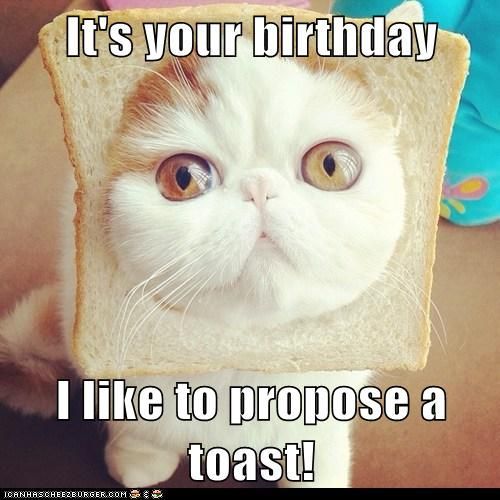 Funny-Birthday-Quotes-for-Friends