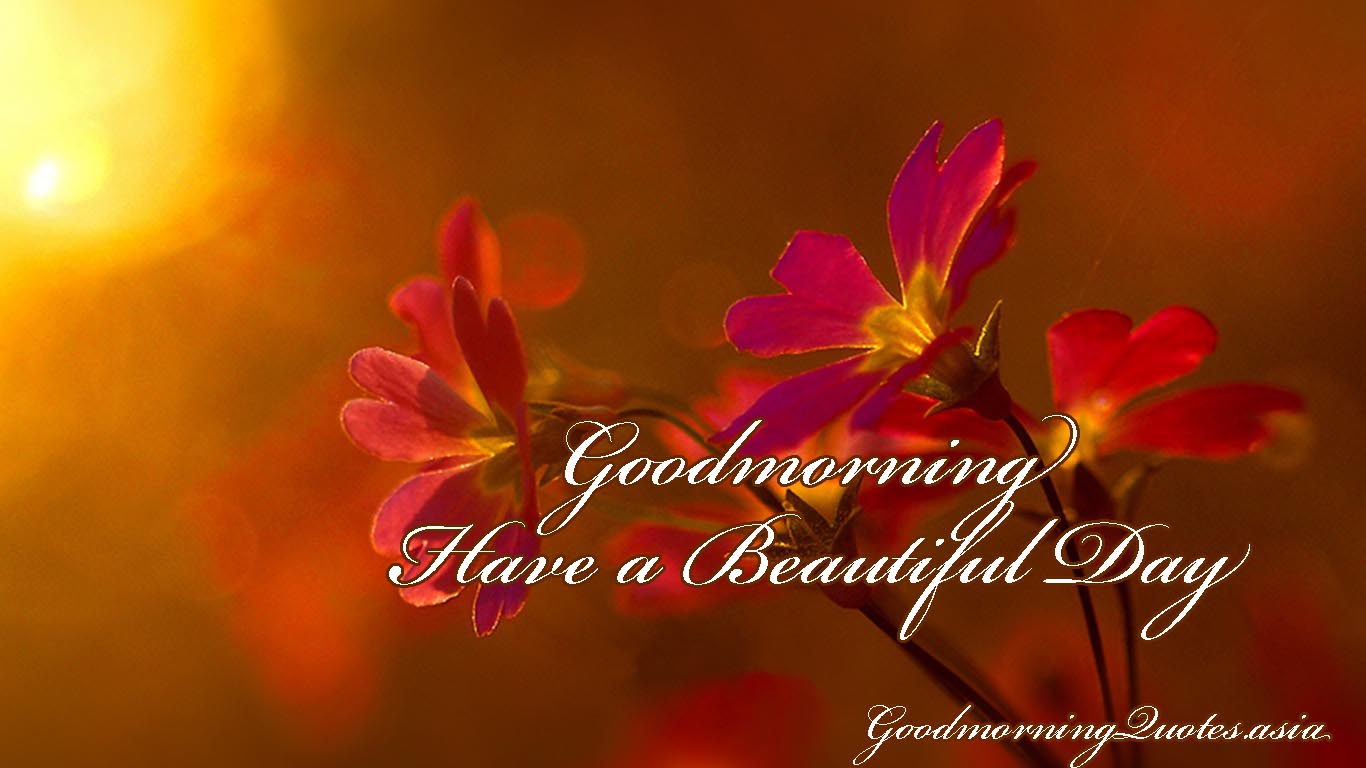 40 Beautiful Good Morning Images With Flowers