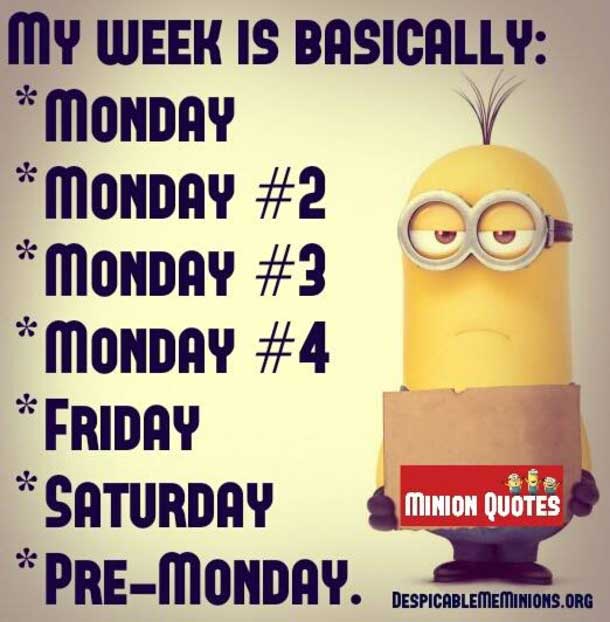 funny minion monday quotes and sayings (8)