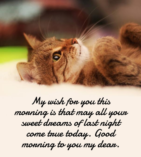 40 Beautiful Good Morning Love Quotes for Her 40 Beautiful Good Morning Love Quotes for Her