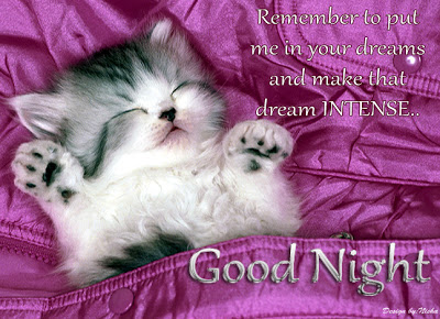 remember to put me in your dreams and make that dream intense -Good Night Images with Quotes for Friends