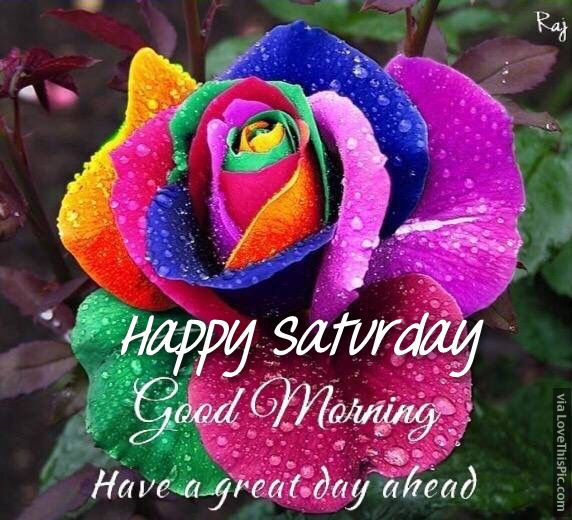 Happy Saturday good morning have a great day ahead - funny Saturday quotes